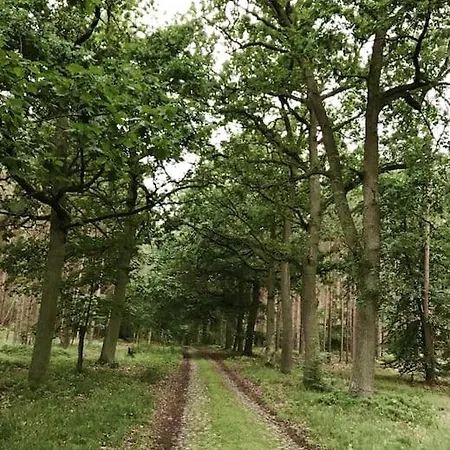 Holiday home Auszeit Auf Dem Land Im Forsthaus Hohe Heide *