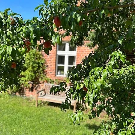 Auszeit Auf Dem Land Im Forsthaus Hohe Heide Holiday home *