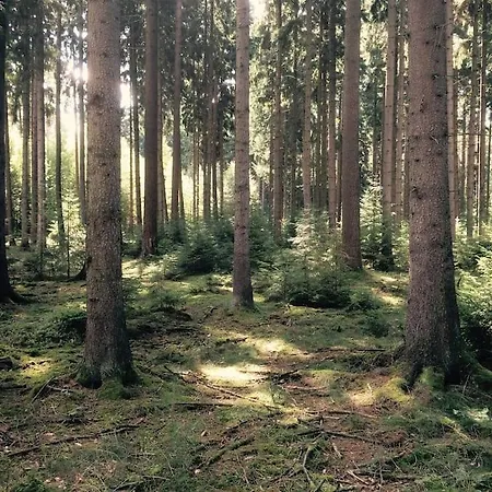 Auszeit Auf Dem Land Im Forsthaus Hohe Heide